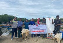 Berbagi Kebahagiaan di Hari Raya Idul Adha, PT LCI Bagikan Hewan Kurban ke Masyarakat