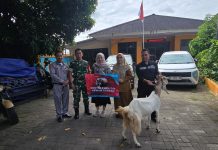 Rayakan Idul Adha 2026, Citimall Cilegon Salurkan Hewan Kurban untuk Masyarakat