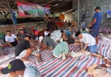 Gerindra Cilegon Potong 16 Hewan Kurban saat Idul Adha 2026