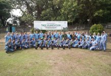 Peringati Hari Lingkungan Hidup, Krakatau Posco Kolaborasi dengan Perhutani Adakan Penanaman Pohon Dukung Pengkayaan Tanaman di Gunung Pinang