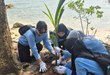 PT IRT dan Komunitas Tanam Pohon Ketapang Laut, Jaga Kelestarian Wisata Pulau Merak Kecil